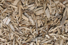 biomass boilers Rookwood
